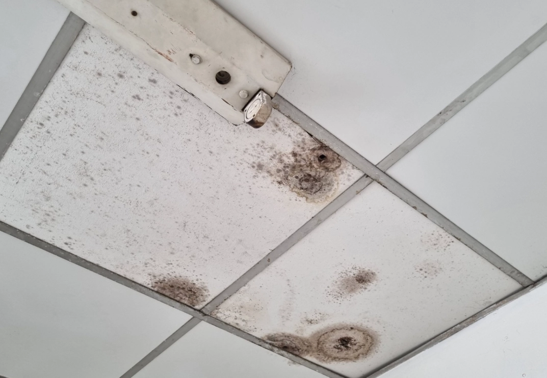 漂白水除霉比例