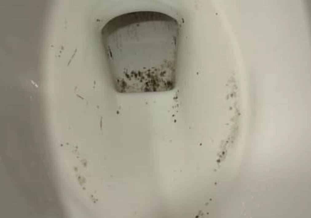 馬桶底座發霉 馬桶底座發霉