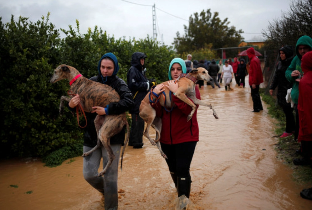 壓力管理 壓力管理