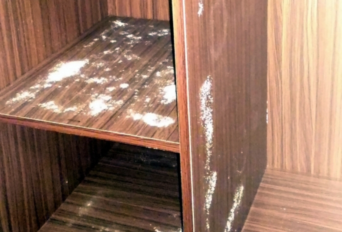 衣櫃 除霉 方法