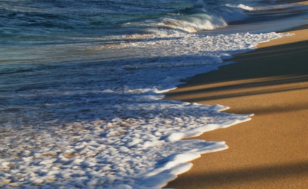 夢到海水漲潮解夢
