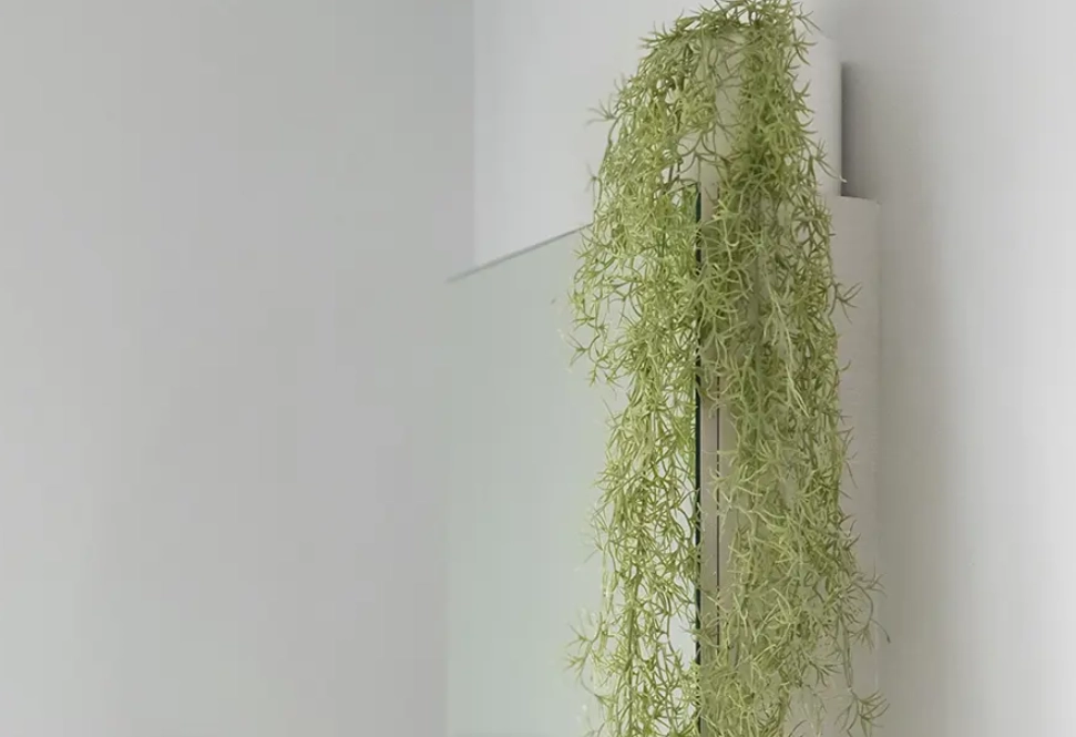 浴室綠化佈置 浴室綠化佈置