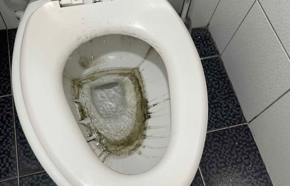 馬桶底座發霉 馬桶底座發霉