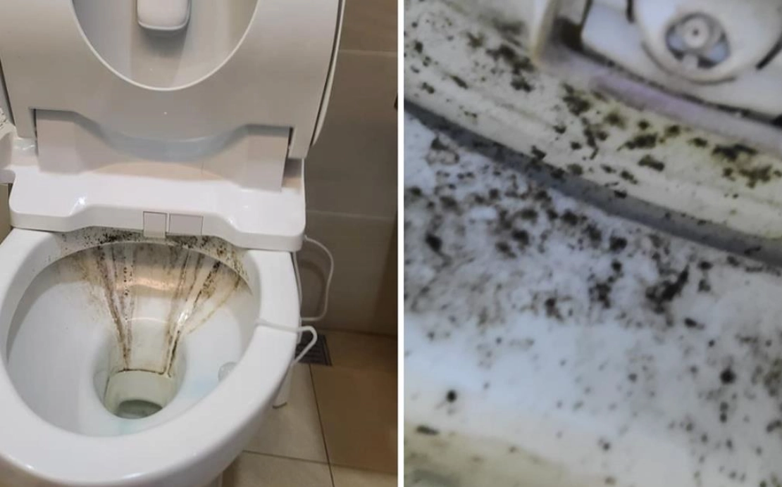馬桶底座發霉 馬桶底座發霉