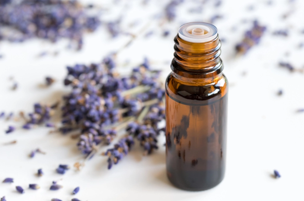 貓咪舒壓精油 貓咪舒壓精油