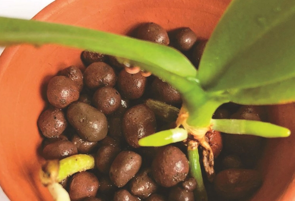 發泡煉石 發泡煉石