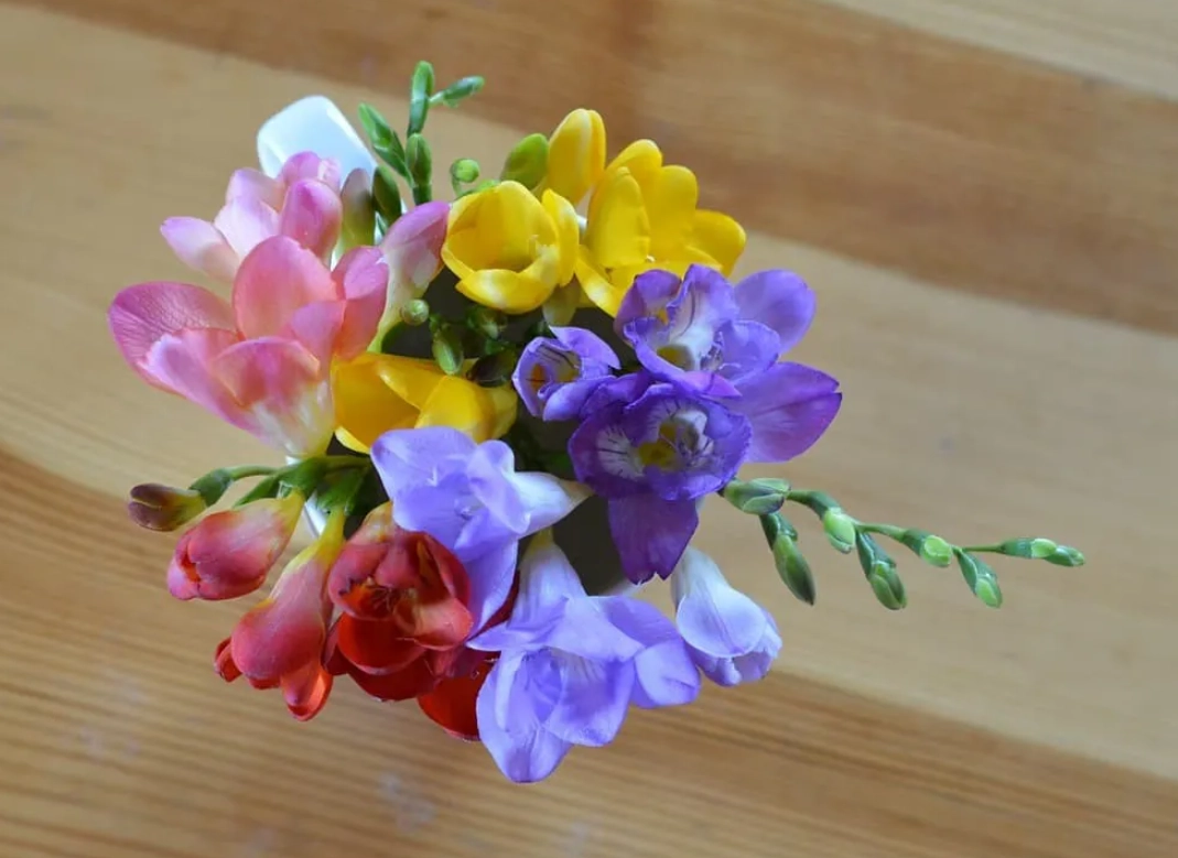 送禮花束 送禮花束