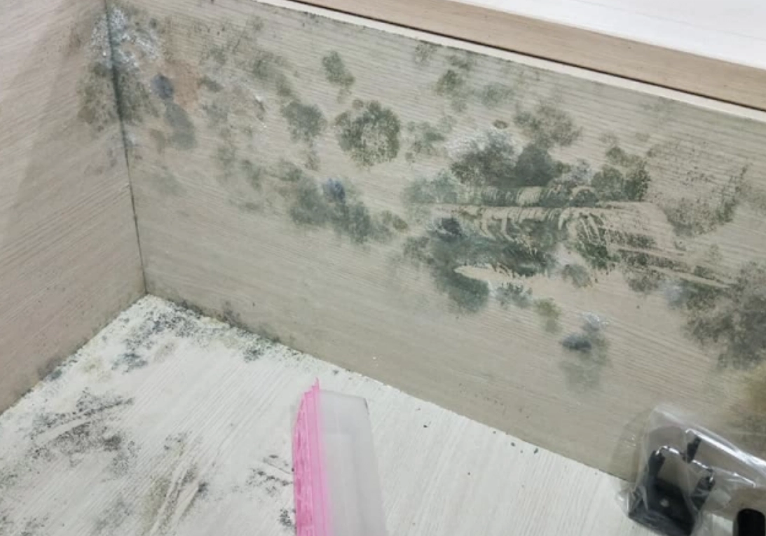 衣櫃發霉處理 衣櫃發霉處理