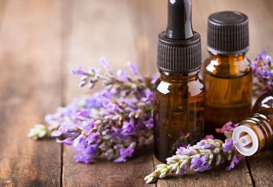 寵物 精油 安全 寵物 精油 安全