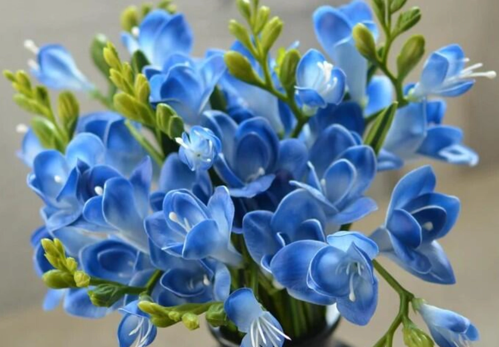 花束搭配 花束搭配