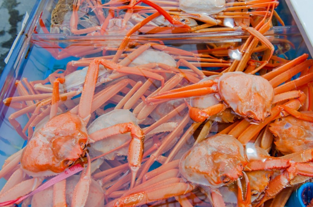 機張市場帝王蟹