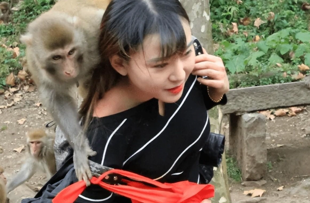 猴子夢境 意義 猴子夢境 意義