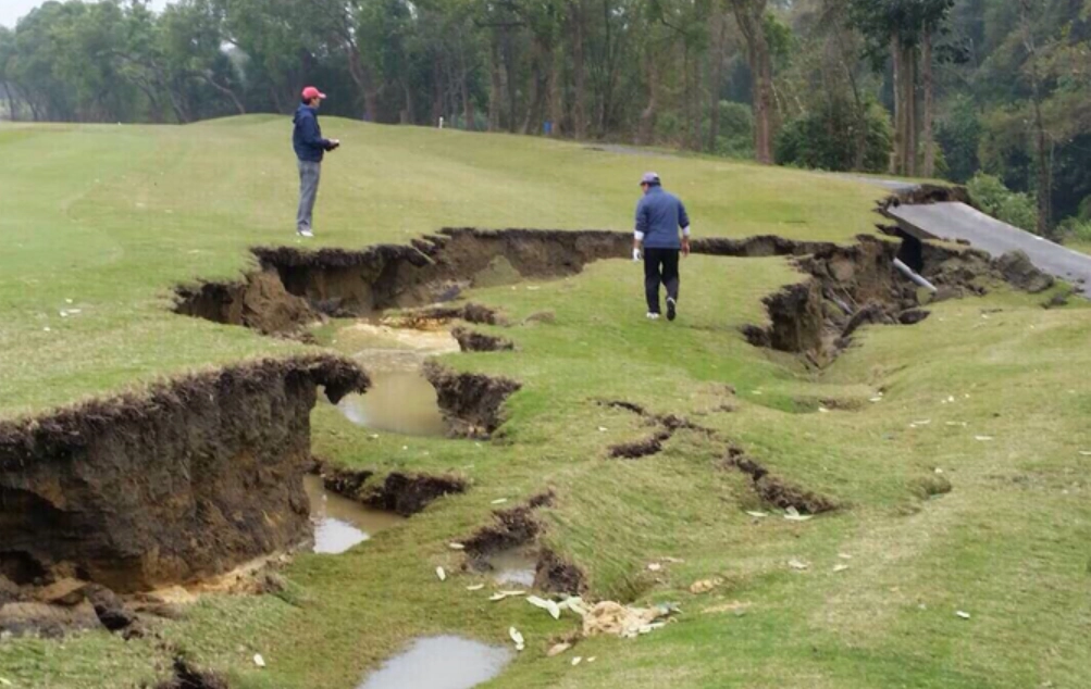 夢境解析 夢境解析