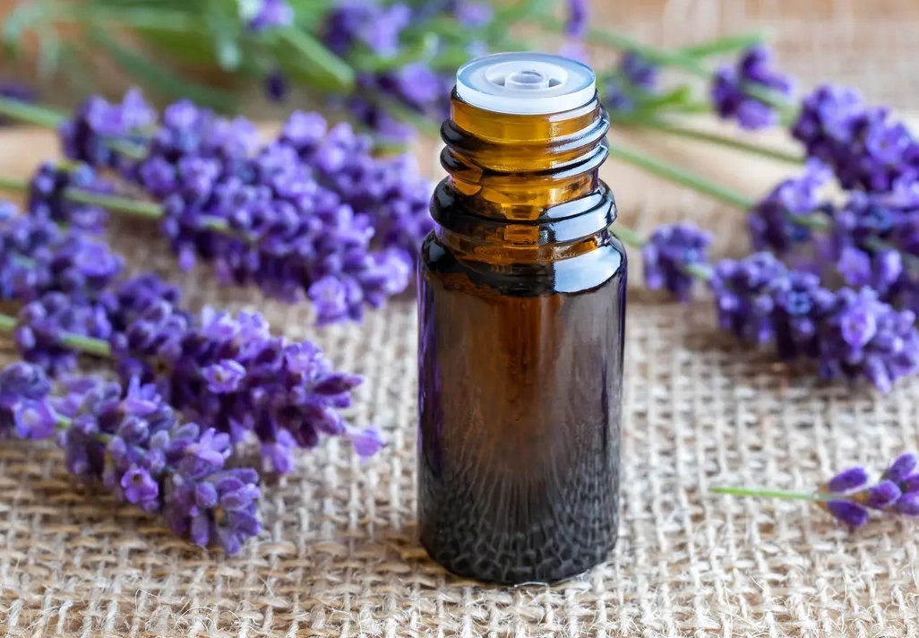 寵物精油安全 寵物精油安全