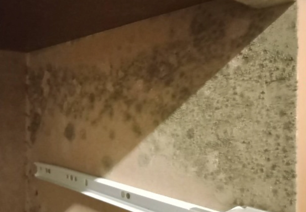 衣櫃發霉 衣櫃發霉