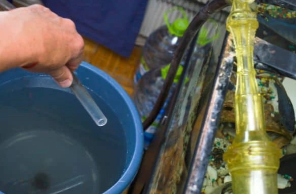 夢到魚缸換水 周公解夢 夢到魚缸換水 周公解夢