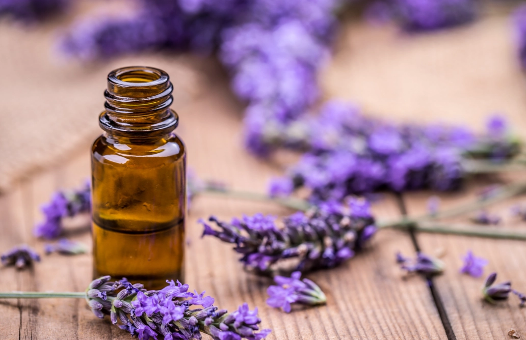 貓咪舒壓精油 貓咪舒壓精油