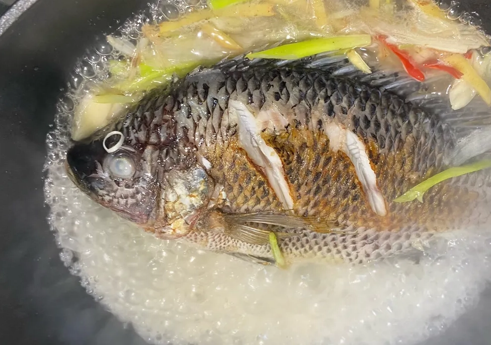 吳郭魚料理技巧 吳郭魚料理技巧