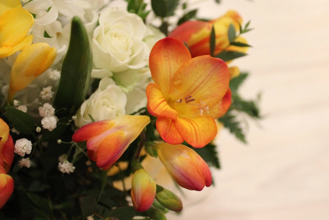 花束搭配 花束搭配