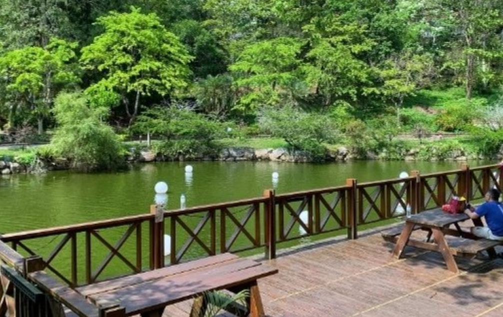 新社旅遊 新社旅遊