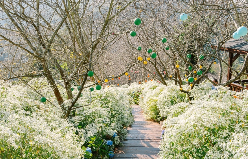 台中免費景點 台中免費景點