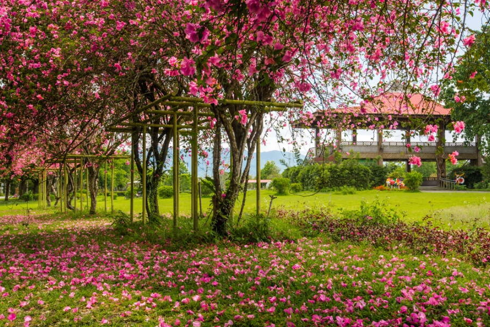 林榮新光車站 林榮新光車站