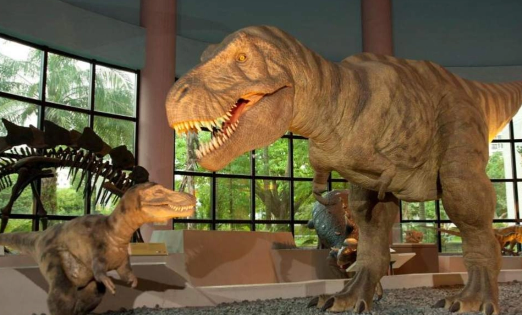 台中親子動物園 台中親子動物園