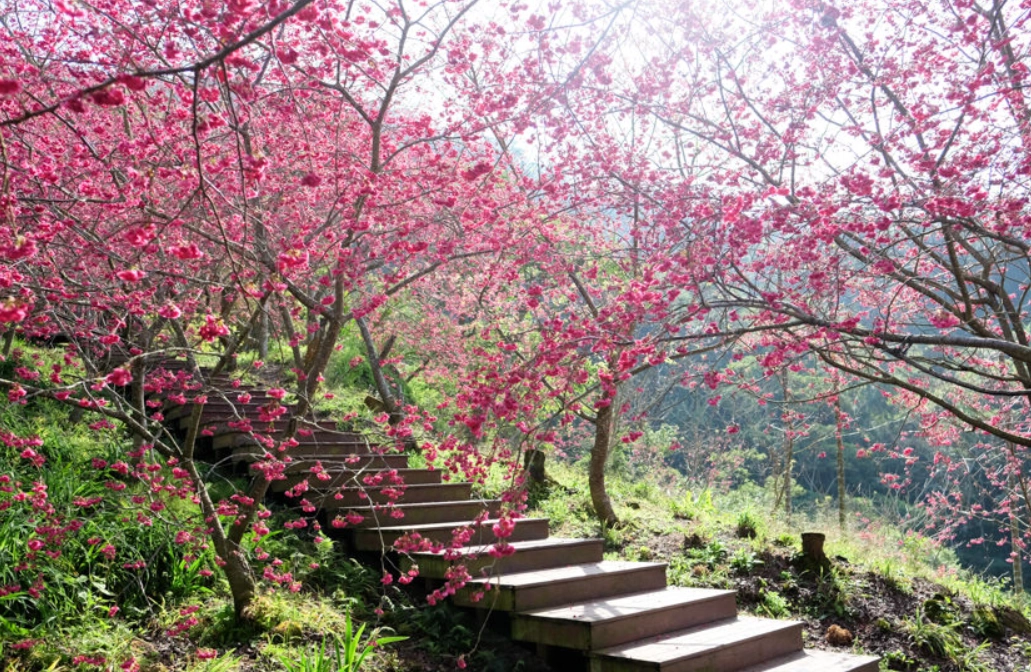 台中動物園 台中動物園