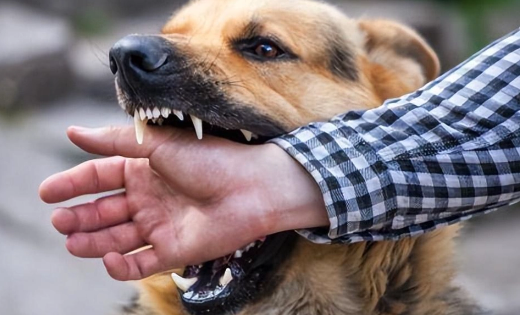 夢境解析 狗咬手