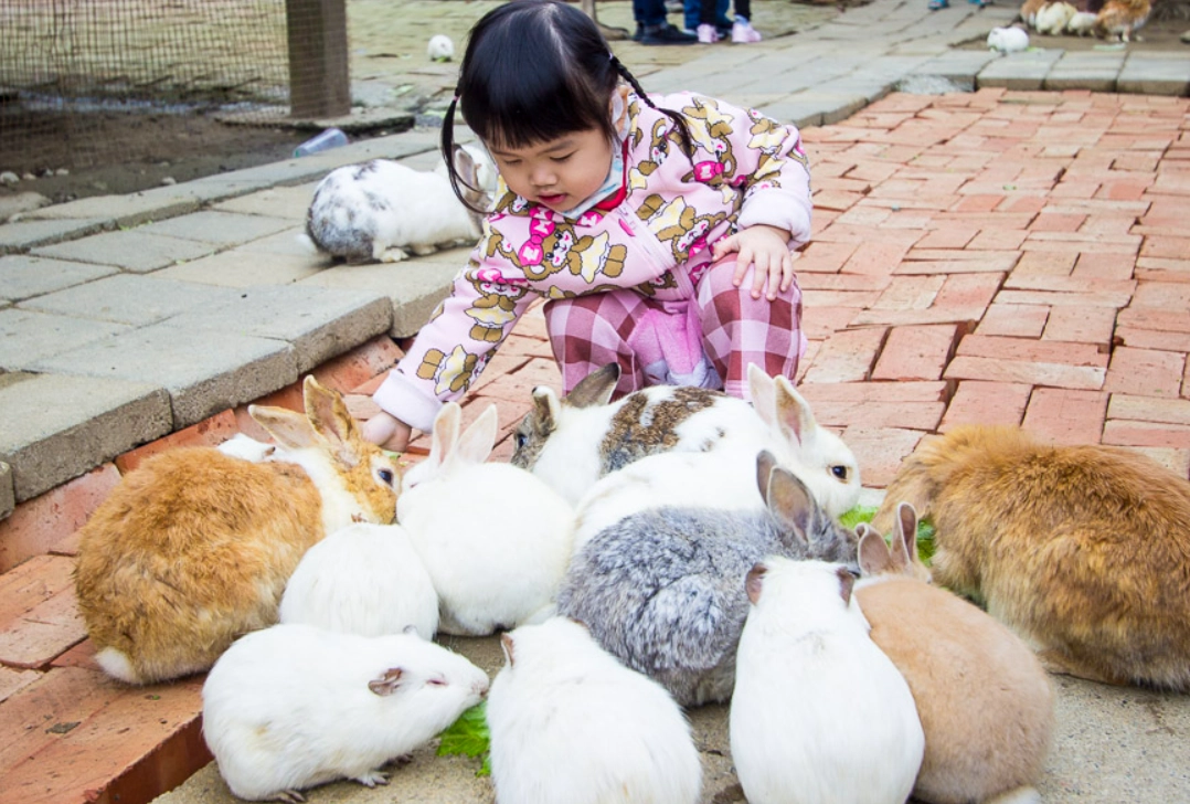 親子餵動物景點