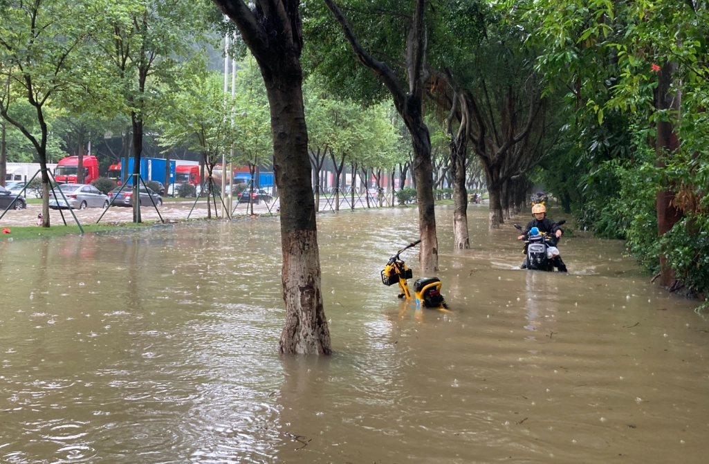 水浸街 夢境 意思