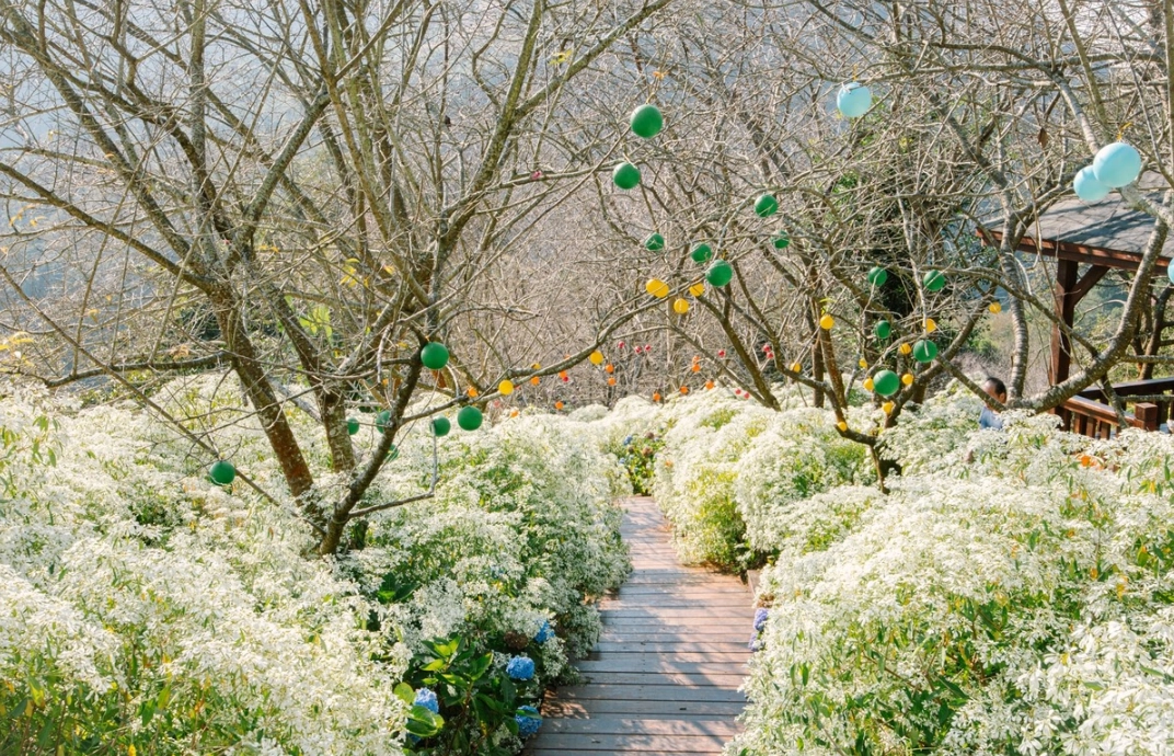 台中動物園 台中動物園