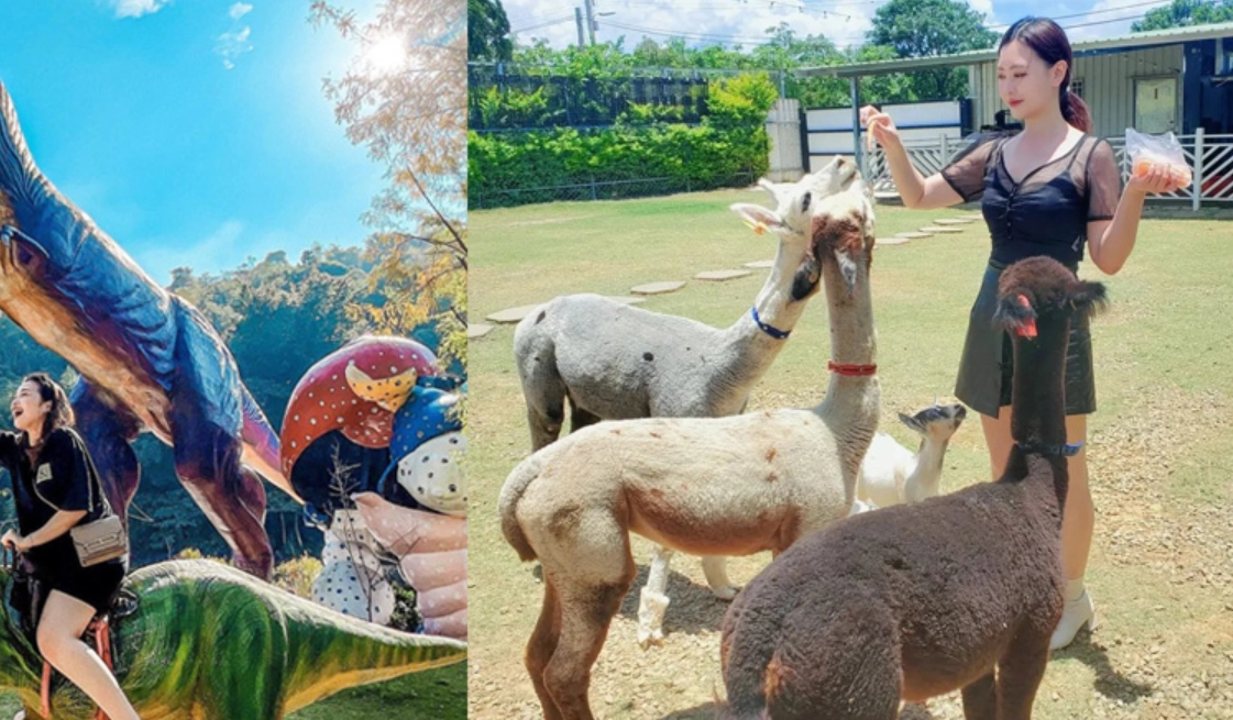 台中看動物景點 台中看動物景點