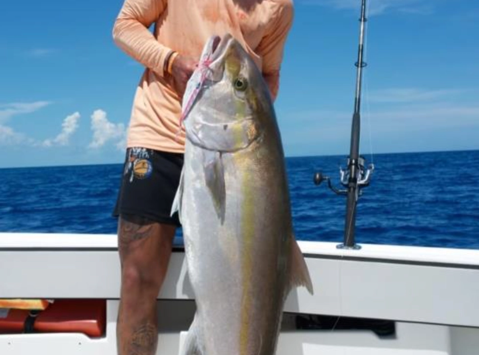 夢見釣到大魚意思 夢見釣到大魚意思