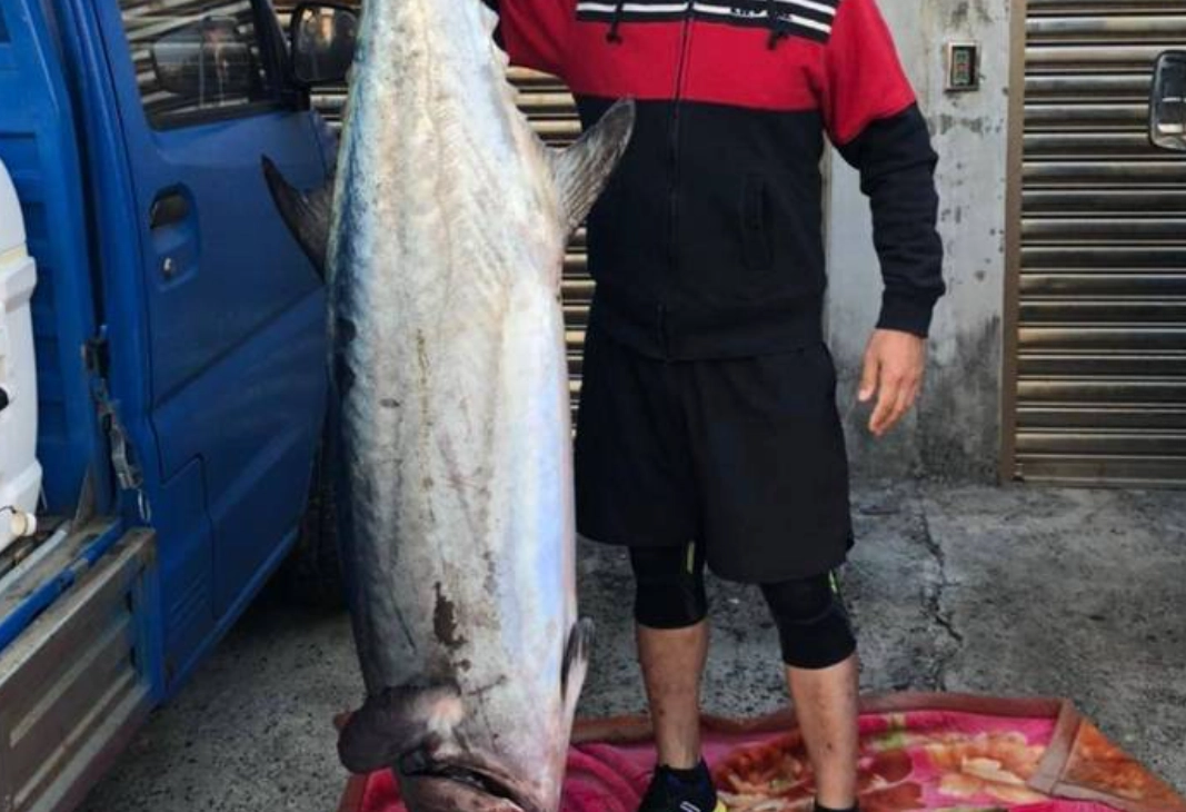 周公解夢釣到大魚