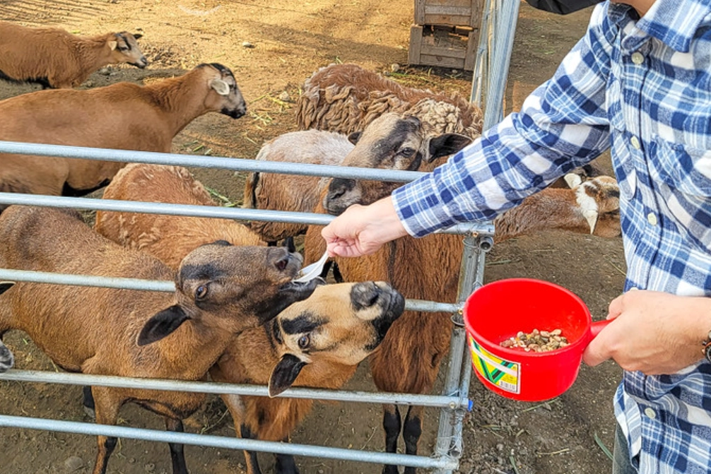 台中動物園 台中動物園