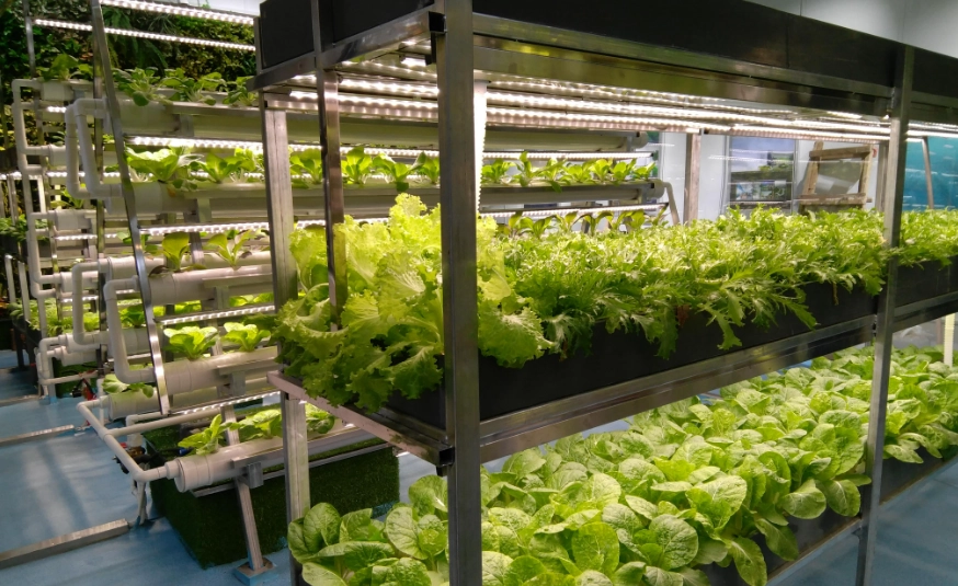 室內水耕設備 室內水耕設備