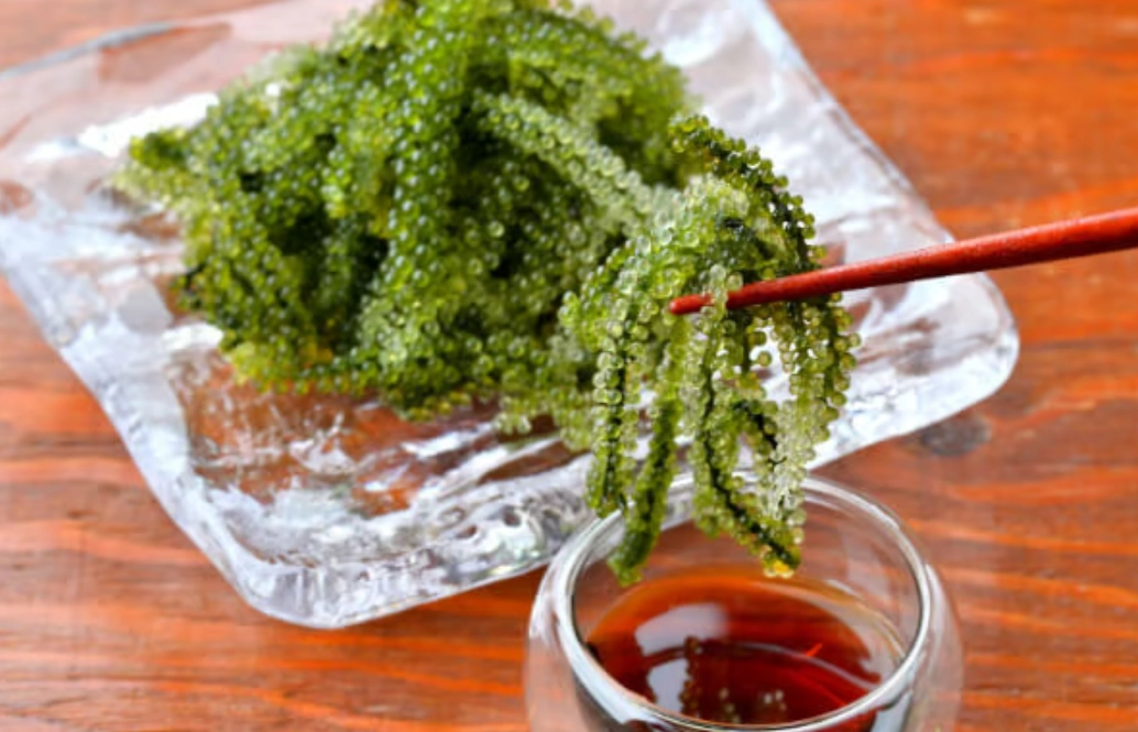 海葡萄食譜 海葡萄食譜