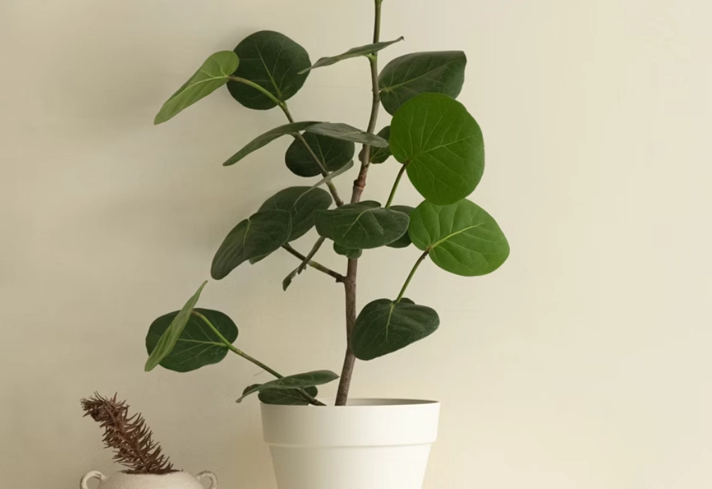 家居顏色搭配 家居顏色搭配