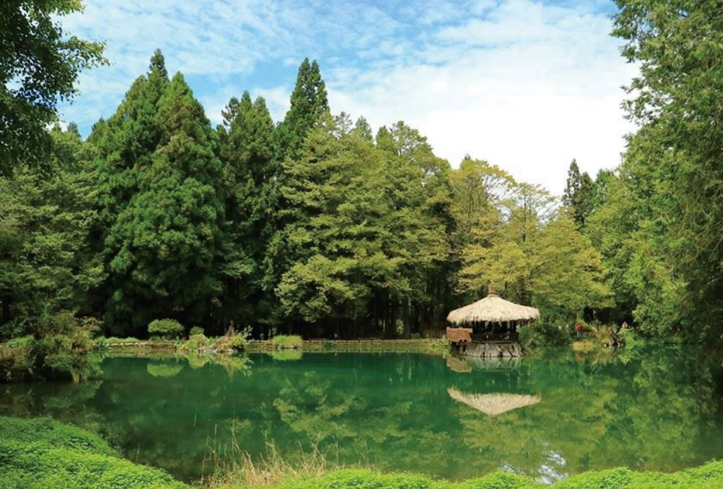 賞松景點 賞松景點