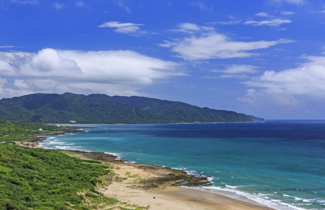 彩虹天堂鳥 生態攝影