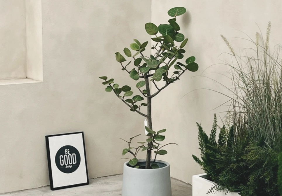 家居顏色搭配 家居顏色搭配