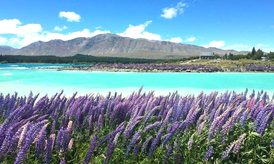 紐西蘭自由行多少錢 紐西蘭自由行多少錢