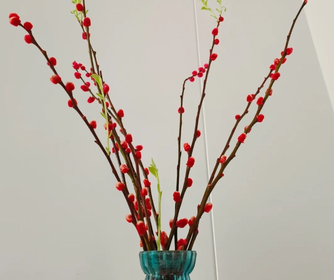 銀柳如何種植？從選苗到開花的完整栽培指南與常見問題解答