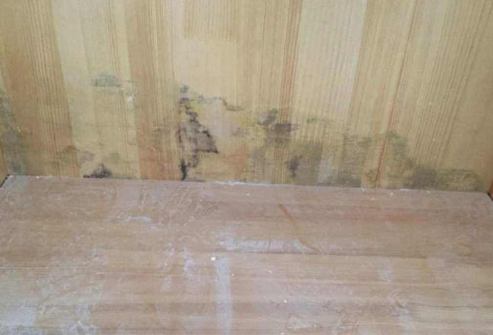 衣櫃發霉凡士林