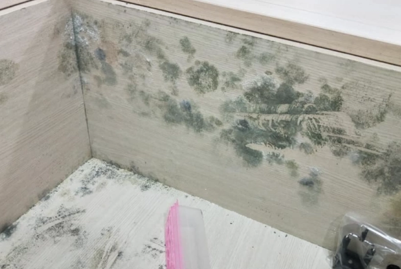 發霉的櫃子怎麼處理