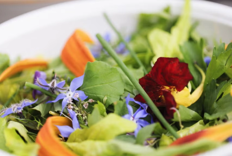 食用花料理入門指南：從挑選、處理到創意食譜一次掌握