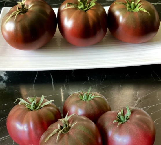 黑柿番茄種植季節