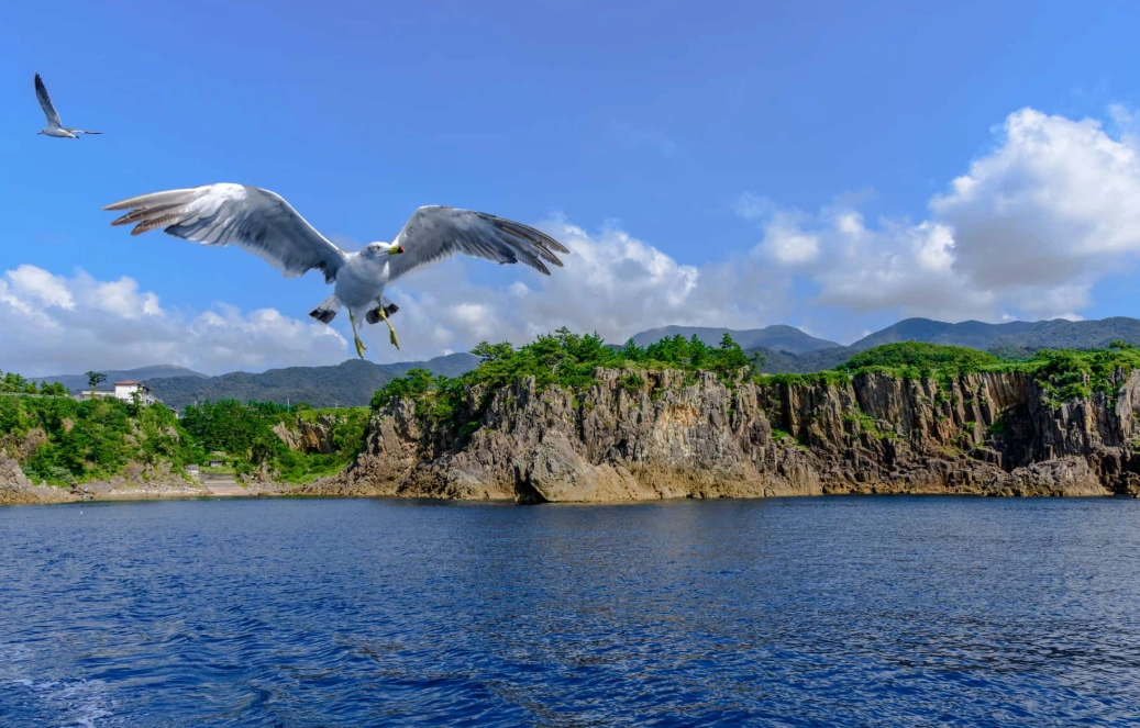 系魚川日照 系魚川日照