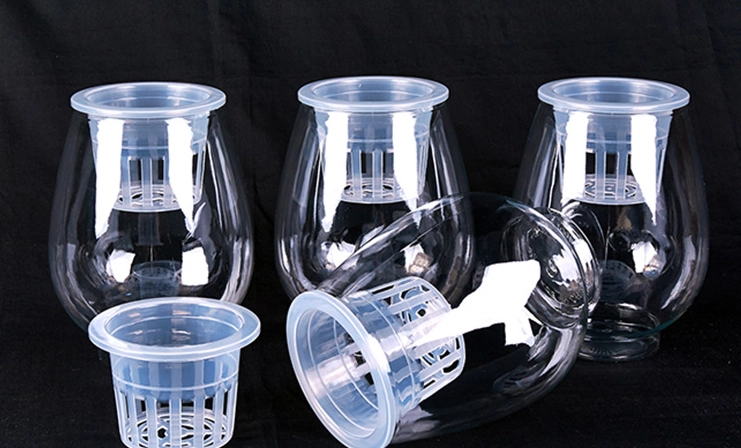 水培容器